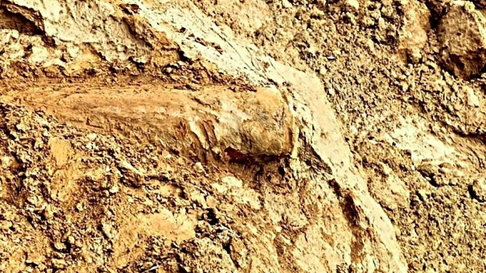 200kg wartime bomb discovered on Ha Tinh riverbank