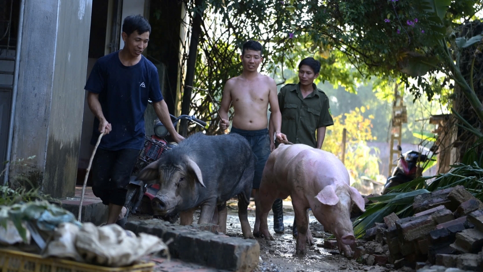 Người dân Thái Nguyên tất bật khôi phục cuộc sống thường ngày sau khi lũ rút