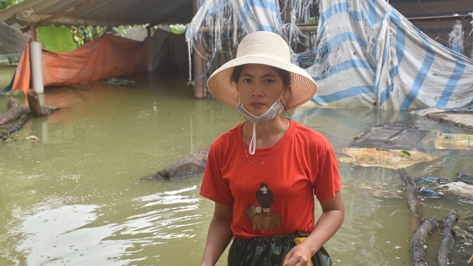 "Nước lũ lên nhanh, nhà thành ốc đảo, không cách nào cứu gà, thóc"