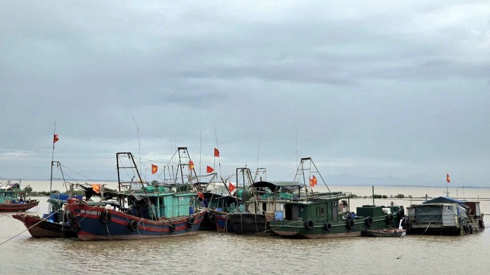 hai_phong.jpg