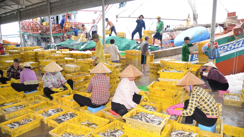 iuu2.jpg