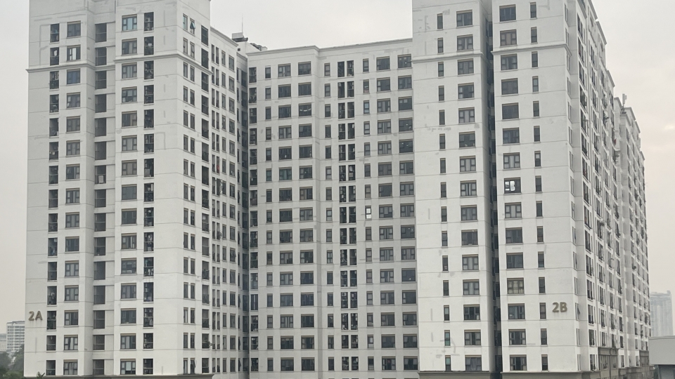 noxh1.jpg