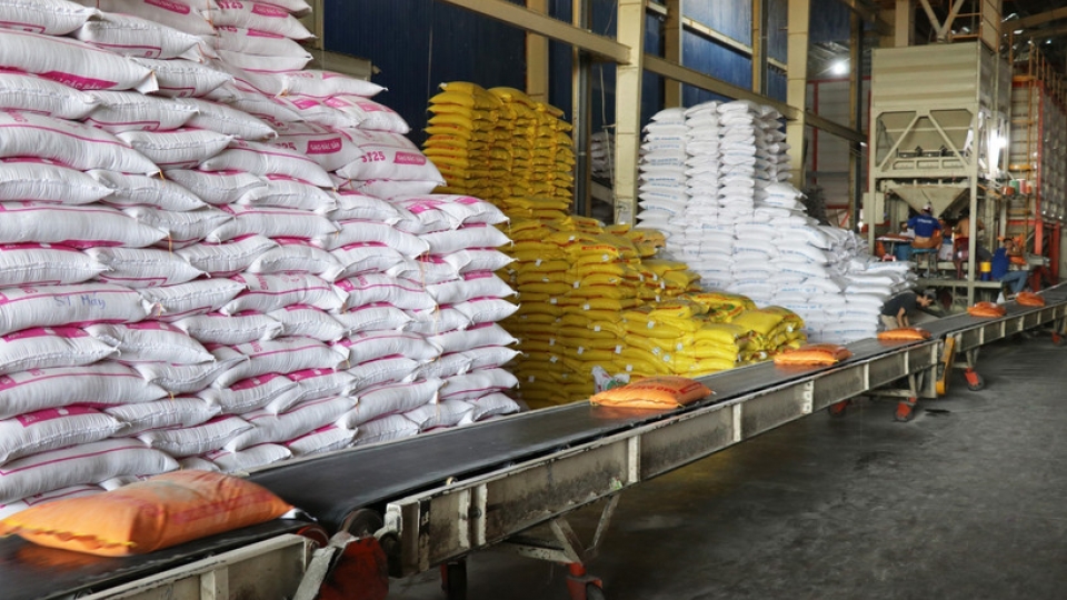 rice-export.jpg