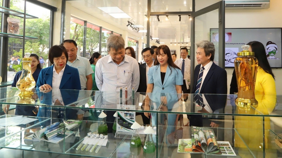 Đà Nẵng đặt mục tiêu trở thành hạt nhân của trung tâm công nghiệp dược liệu quốc gia.jpg