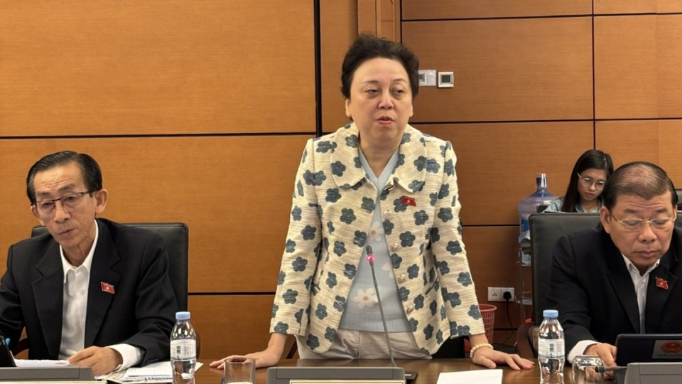 đại biêu quốc hội phạm khánh phong lan thảo luận về sách giáo khoa.jpg