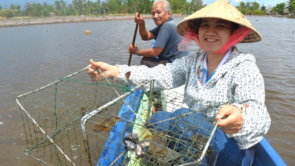 Vì sao cua Cà Mau nức tiếng gần xa?