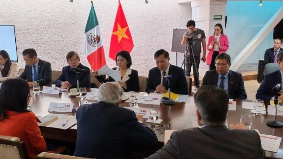Bilateral talks between Deputy Minister Do Xuan Tuyen and Health Minister David Kershenobich Stalnikowitz.jpg