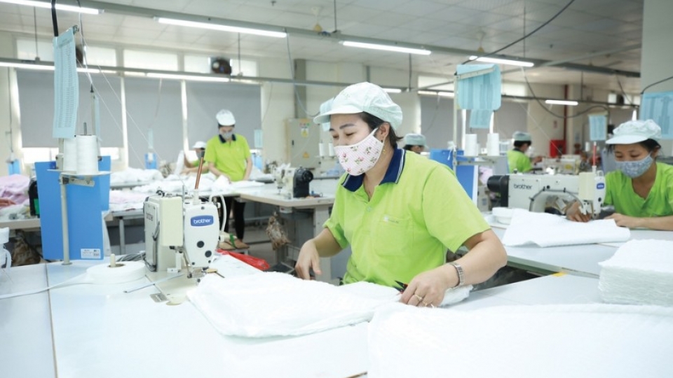 EU due diligence prompts proactive action from Vietnamese firms.jpg