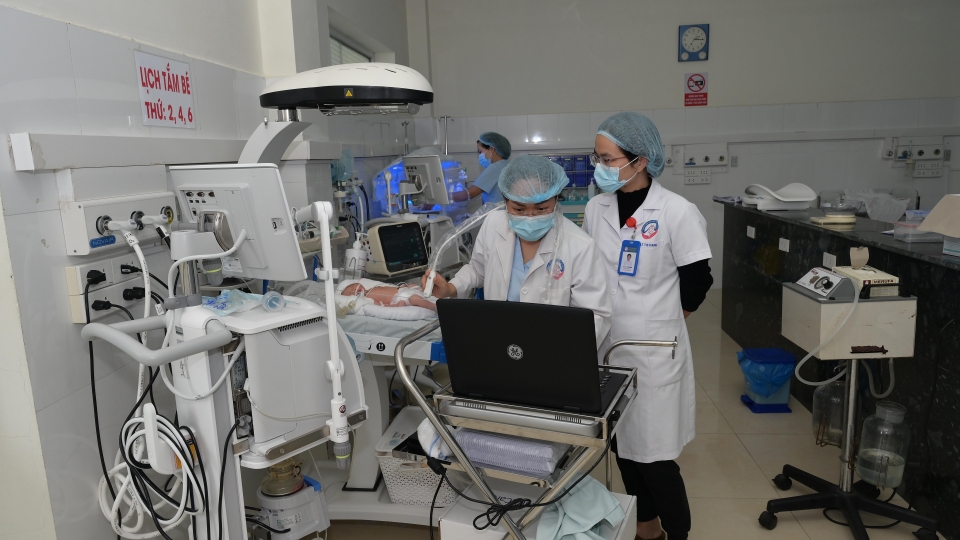 Những chiếc giường sưởi và lồng ấp được trang bị rơ le nhiệt tự động.JPG