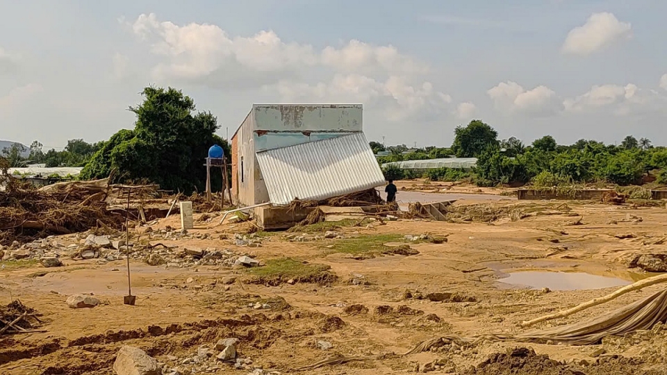 Nhiều diện tích cây trồng bị vùi lấp.jpg