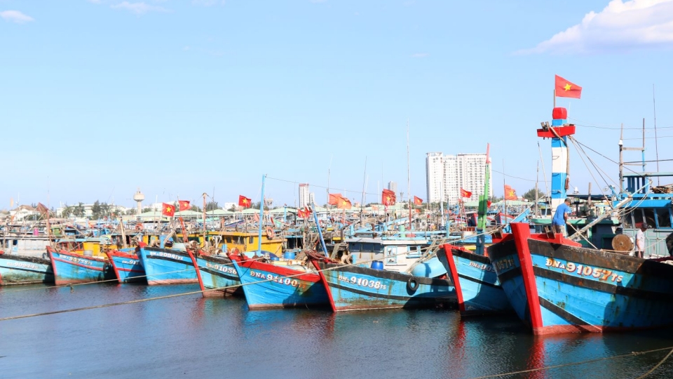 Tàu cá neo đậu tại âu thuyền và cảng cá Thọ Quang, TP Đà Nẵng.JPG