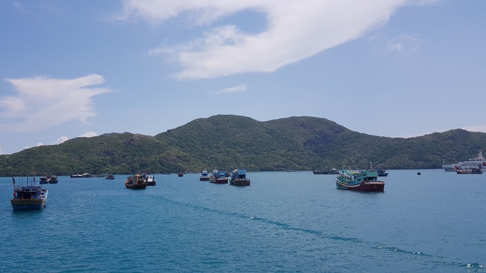 Thẻ vàng IUU tiếp tục là thách thức lớn khi ảnh hưởng trực tiếp đến xuất khẩu sang EU (Ảnh_ Nguyễn Quang).jpg