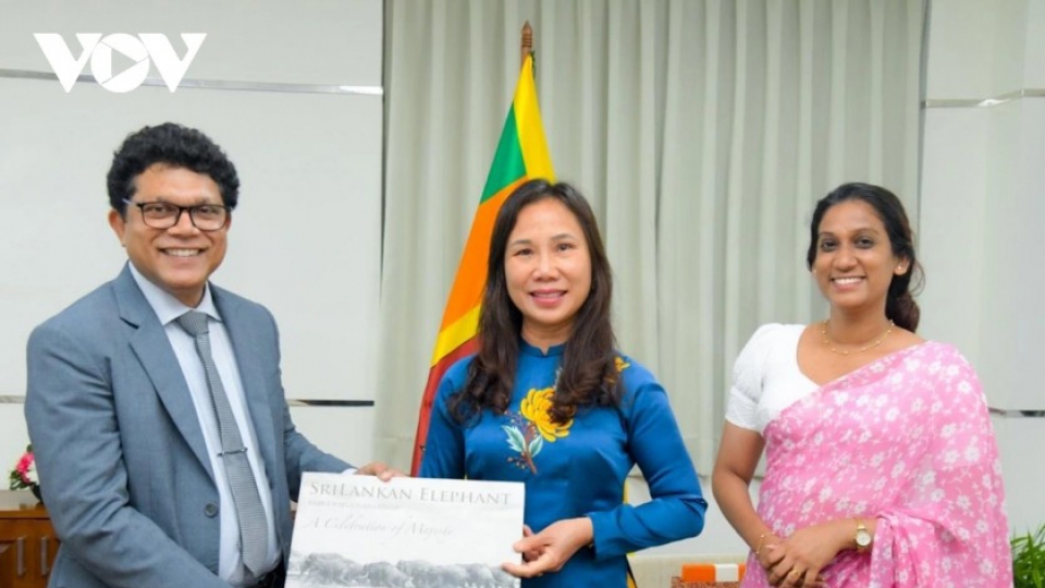 Vietnamese Ambassador to Sri Lanka Trinh Thi Tam meets Sri Lankan official.jpg