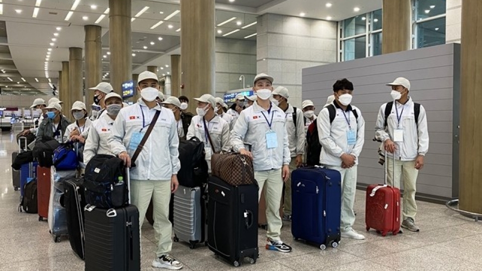 Vietnamese guest workers in  RoK.jpg