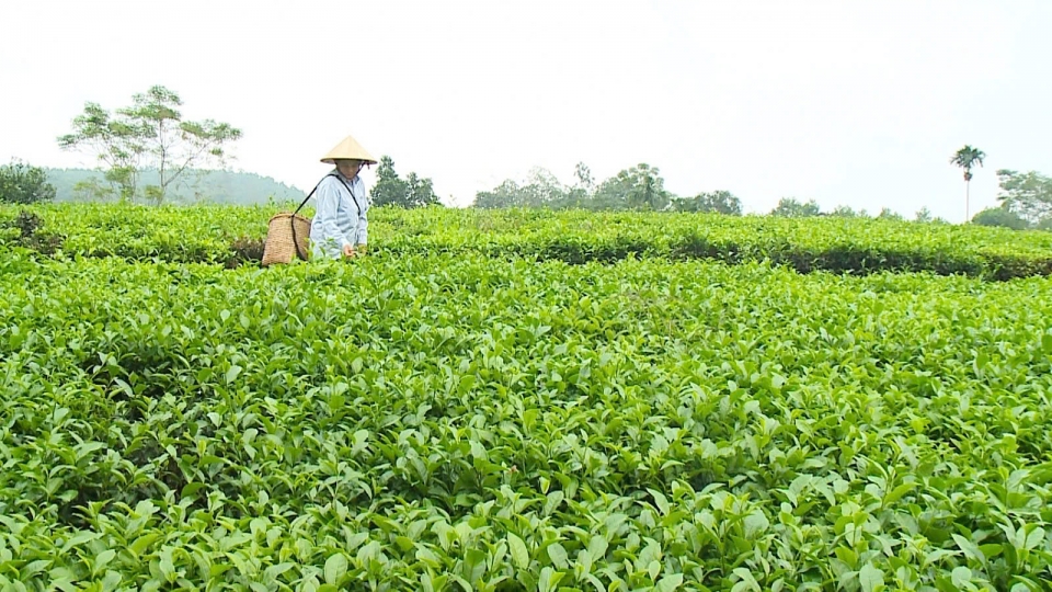 Circular economy - a strategic path for sustainable agriculture in Vietnam