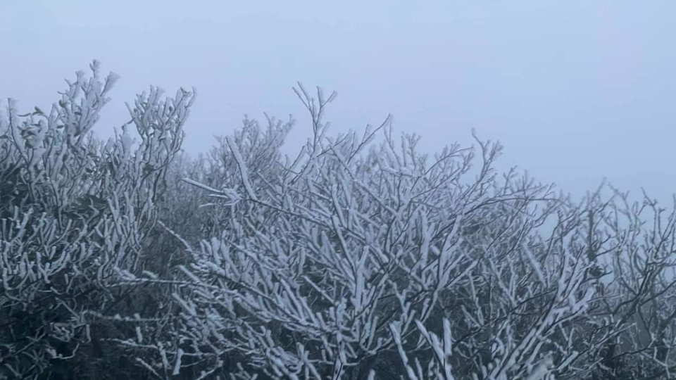 Thời tiết hôm nay 16/11: Mưa lớn từ Hà Tĩnh đến Khánh Hòa