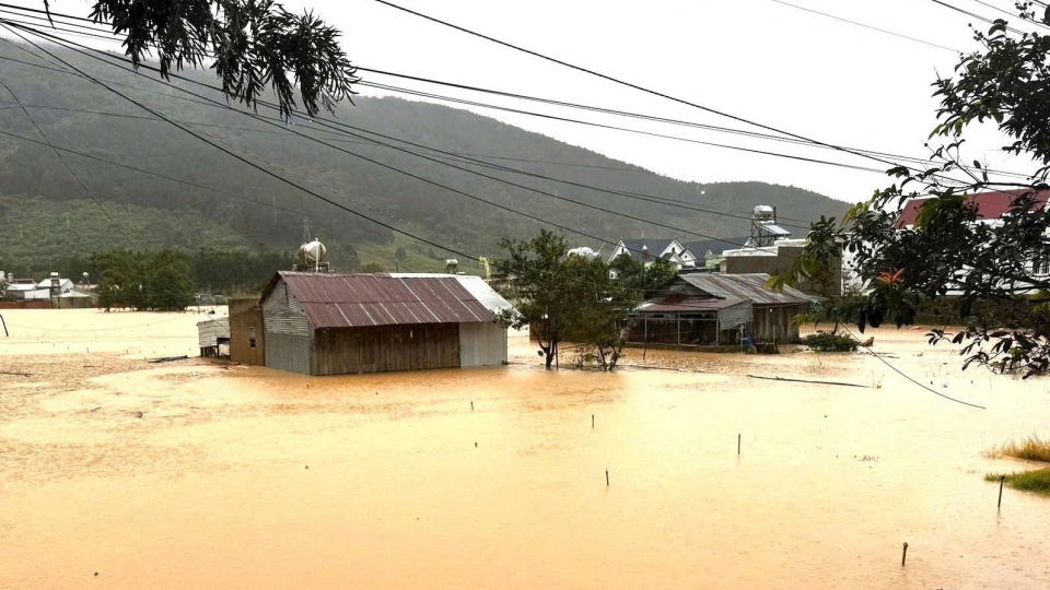 Mưa lớn gây ngập sâu ở Lâm Đồng, nguy cơ lũ quét và sạt lở trên diện rộng