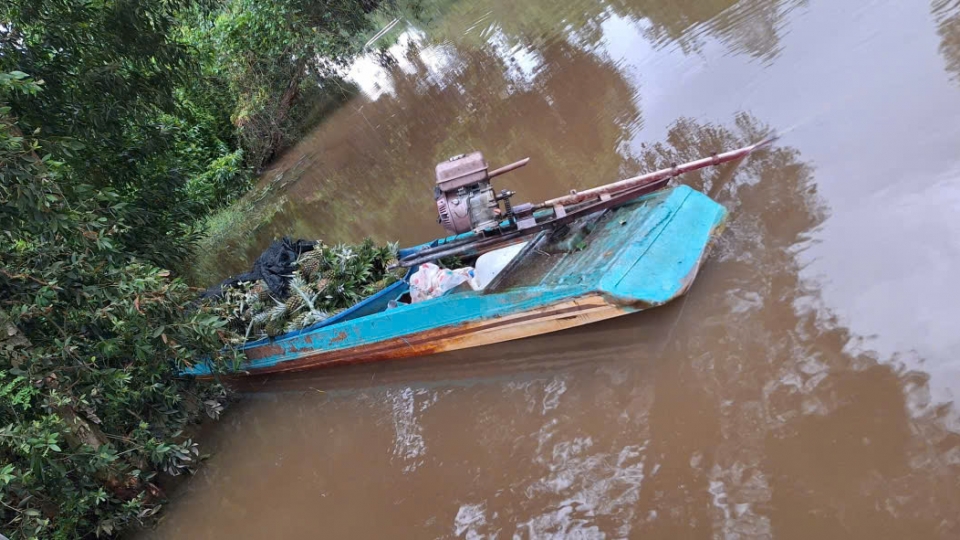 Bắt giữ 4 đối tượng chuyên trộm trái khóm và vỏ lãi của dân