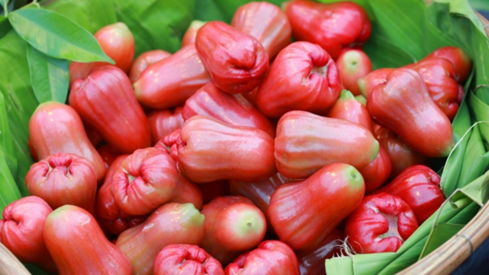 qua_roi_viet_nam_co_nu_hoang_trai_cay_an_vao_bo_du_duong_lai_khong_lo_tang_can.jpg
