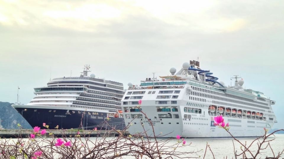 Two luxury cruise ships bring over 3,100 international visitors to Quang Ninh
