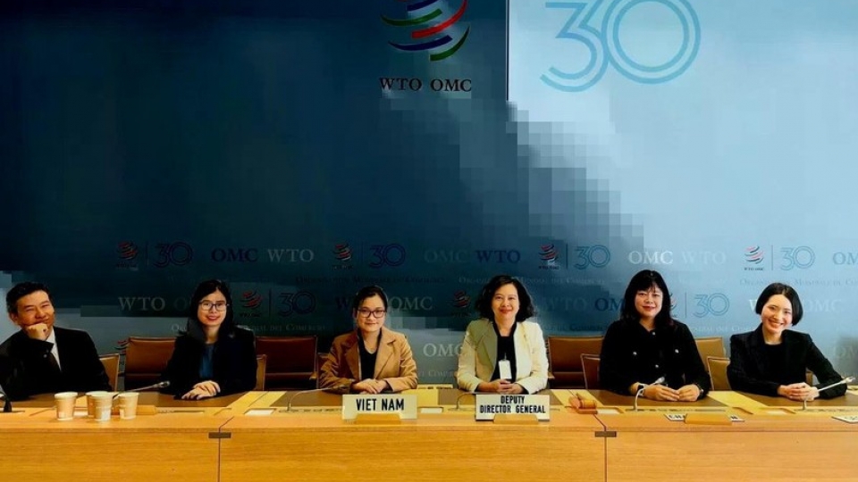 the_vietnamese_delegation_attends_the_wto_committee_on_rules_of_origins_regular_session.jpg