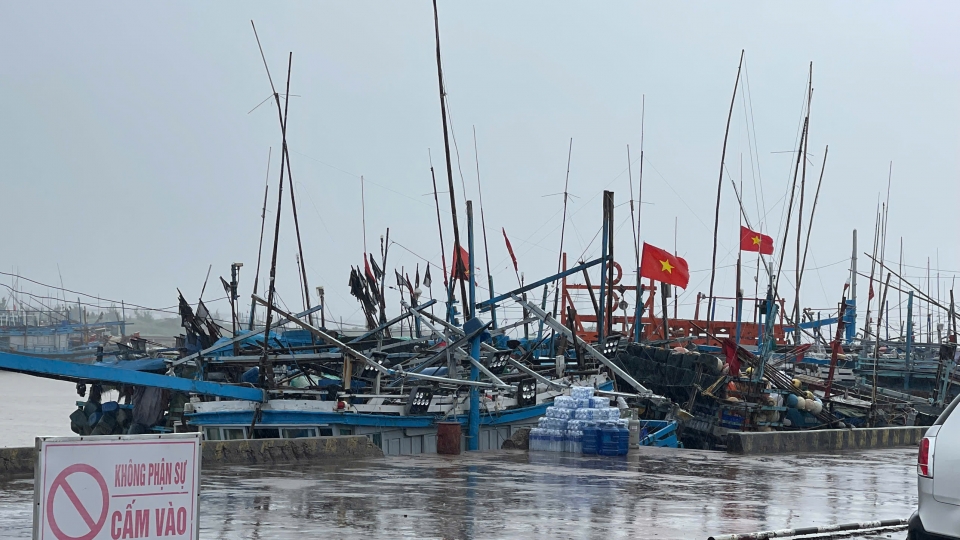 tranh_bao_.jpg
