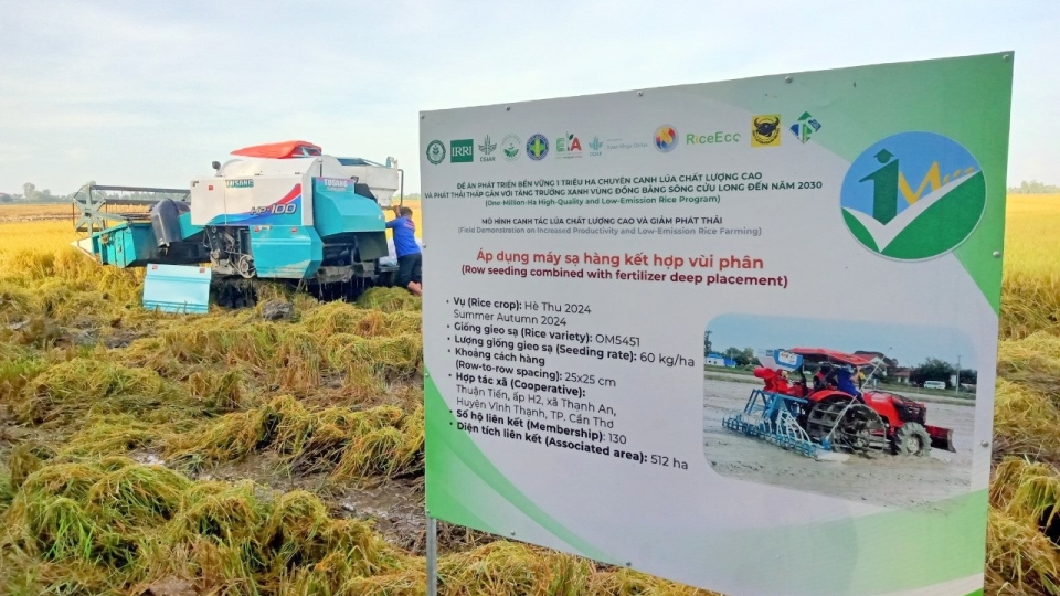 Đồng bằng sông Cửu Long giữ vị trí chiến lược đối với an ninh lương thực quốc gia.jpg