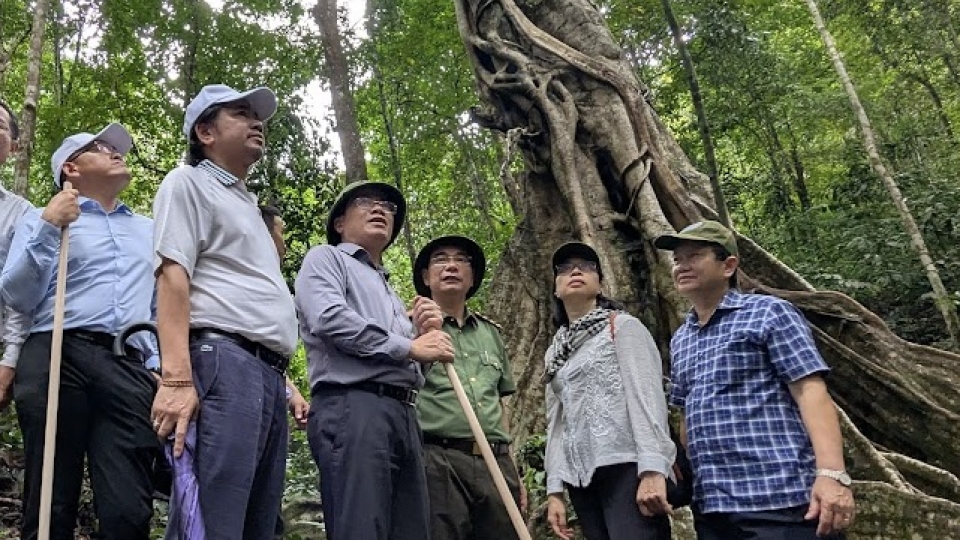 15-10-du lich sinh thai Gia Lai- anh 1.jpeg