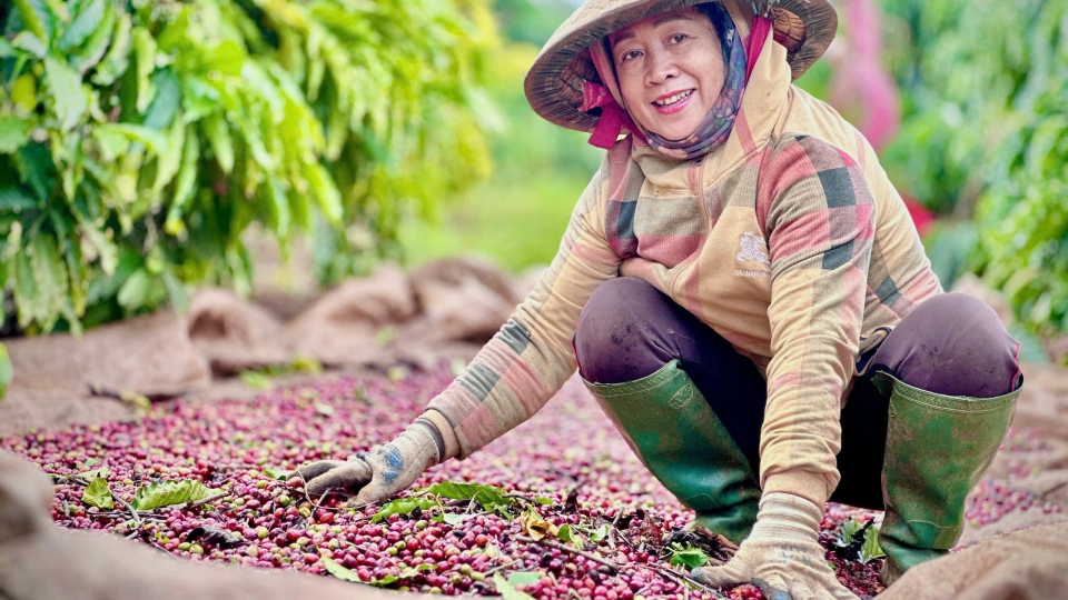 1Xây dựng sàn giao dịch hàng hóa trong IFC sẽ góp phần  nâng cao giá trị nông sản Việt Nam.jpg