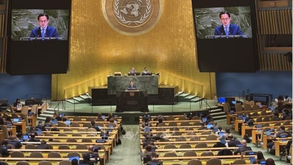 Ambassador Do Hung Viet, Head of the Permanent Mission of Vietnam to the United Nations, addresses the plenary debate.jpg