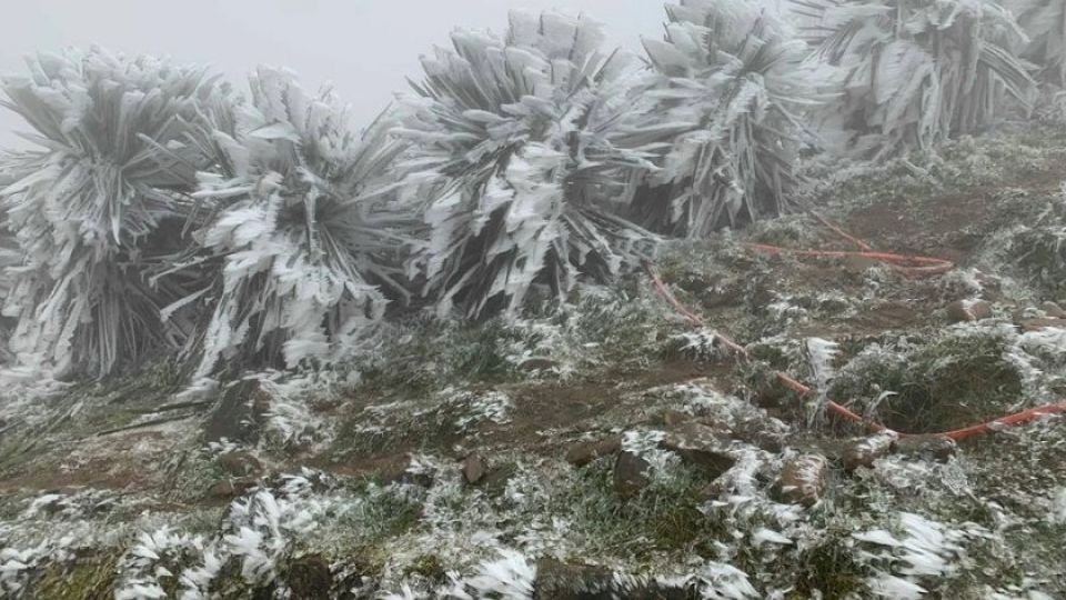 Hanoi sees scattered light rain as cold air strengthens.jpg