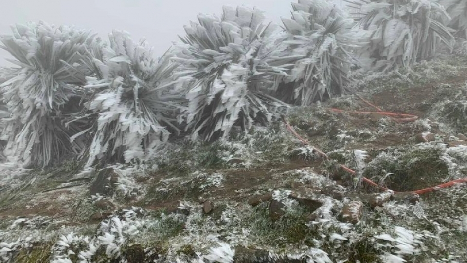 Intensified cold surge.jpg