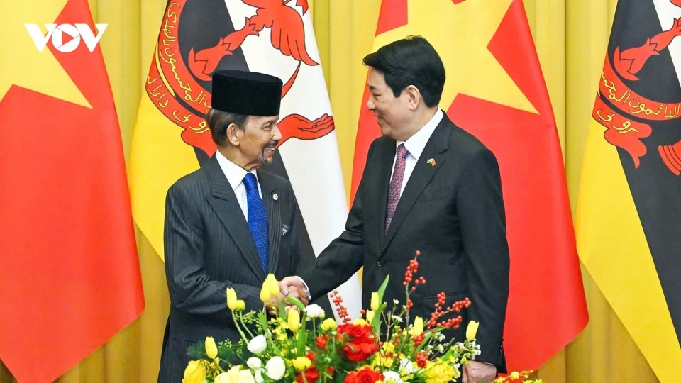 President Luong Cuong of Vietnam and Sultan Haji Hassanal Bolkiah of Brunei  2.jpg