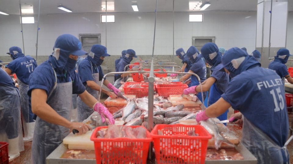 Với doanh nghiệp ĐBSCL, đây vừa là thách thức tuân thủ, vừa là cơ hội tái cấu trúc để phát triển bền vững.jpg