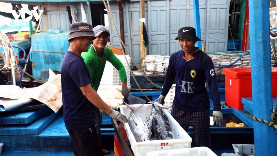 Vietnam struggles to lift yellow card as IUU fishing crackdown reshapes coastal economy.jpg
