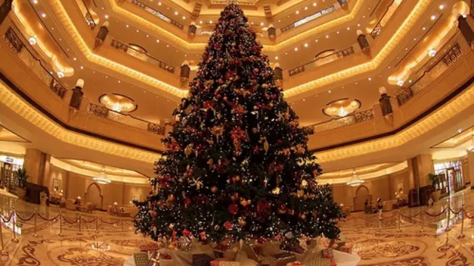 cay thong noel 1 UAE.jpg