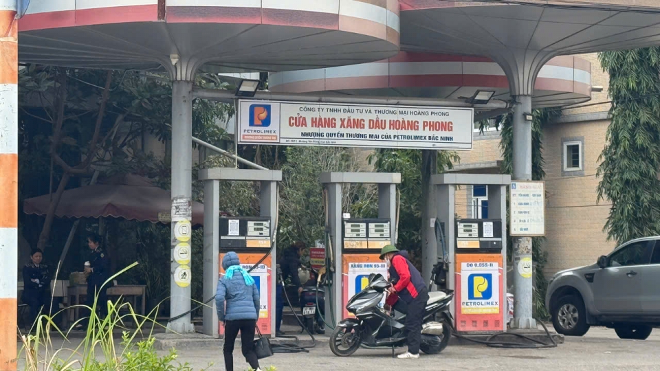 cay_xang_hoang_phong.jpg