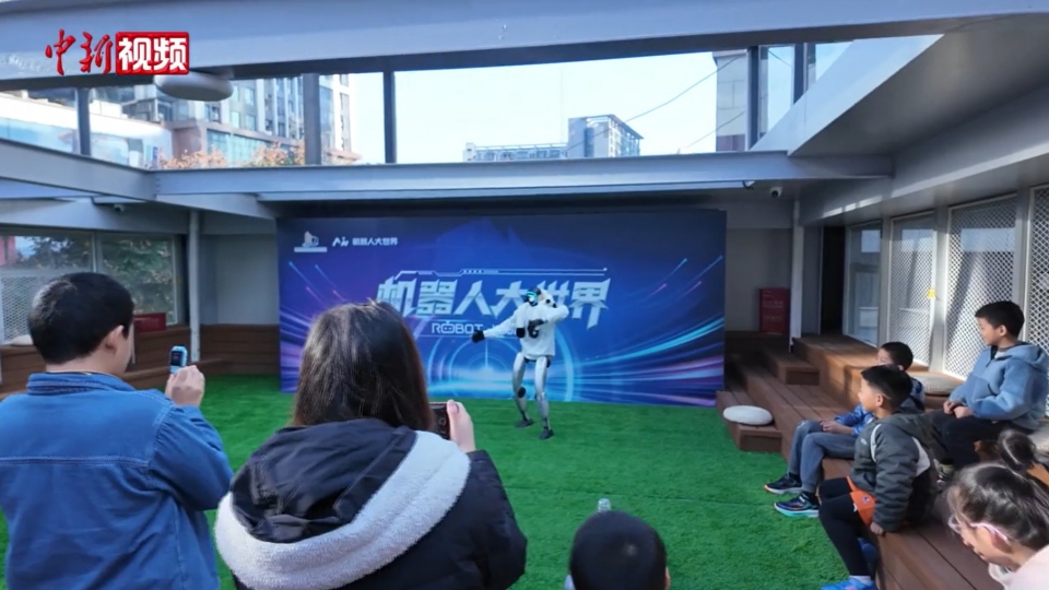 du_khach_trai_nghiem_cung_cac_robot_tai_du_an._anh_chinanews_service_1.jpg