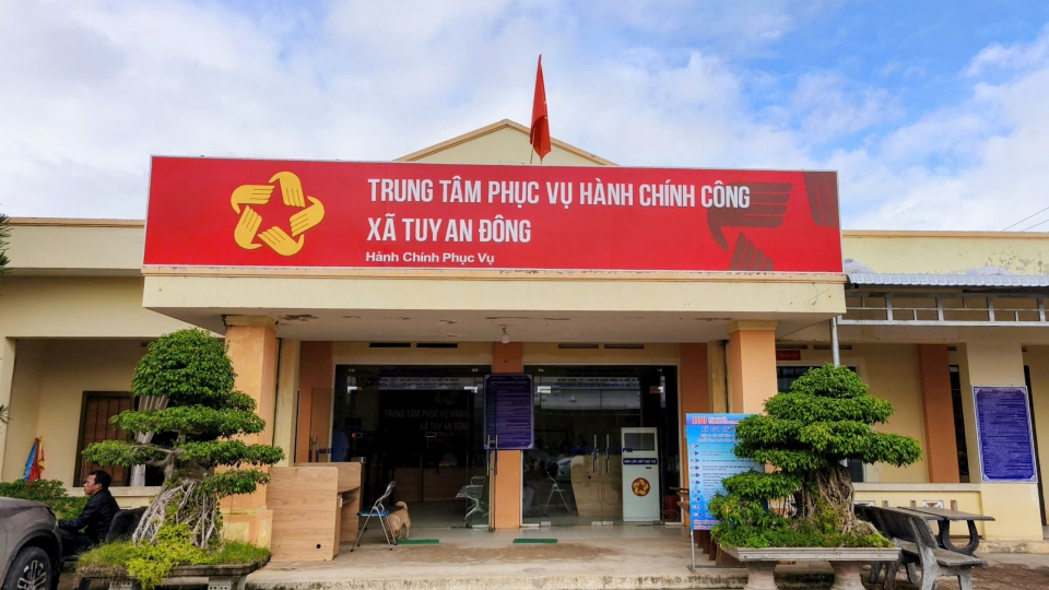 hcc_4_.jpg