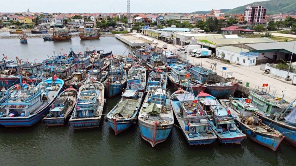 vietnam_takes_firmer_stance_on_iuu_fishing_as_it_targets_sustainable_fisheries.jpg