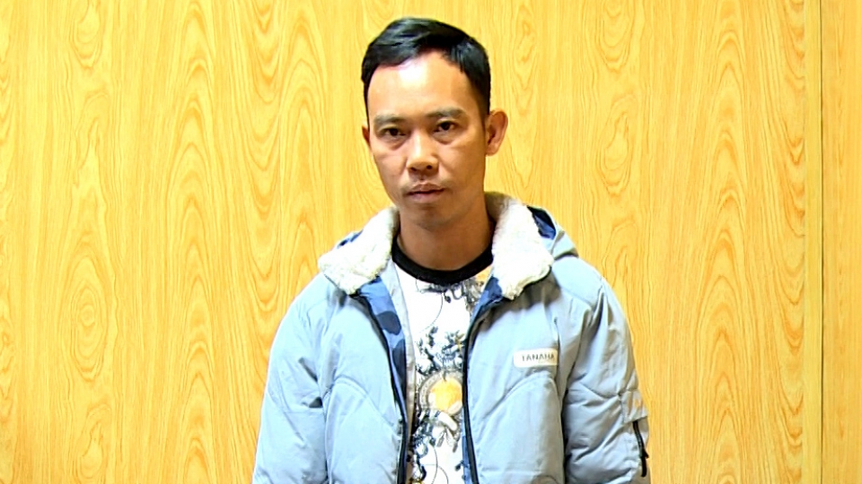 động vật hoang dã.jpg