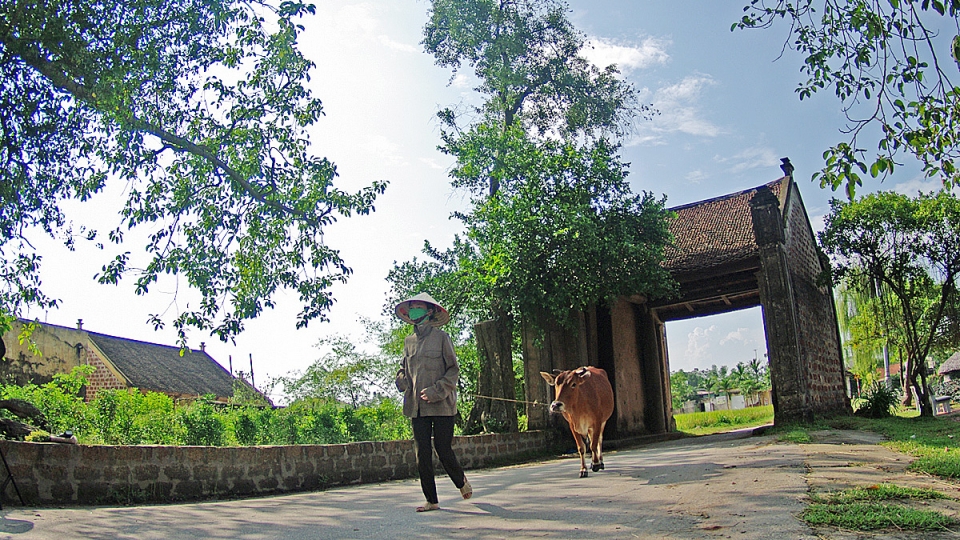 AVA_Duong Lam 2.jpg
