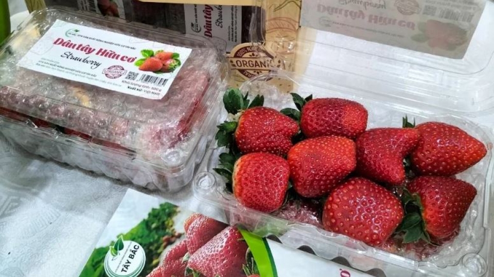 Nhiều sản phẩm OCOP của Sơn La đã khẳng định được thương hiệu, chất lượng, từng bước vươn ra thế giới.jpg