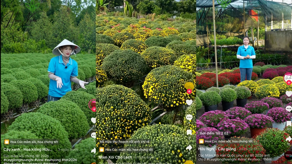 Sequence 16.00_13_04_15.Still001.jpg