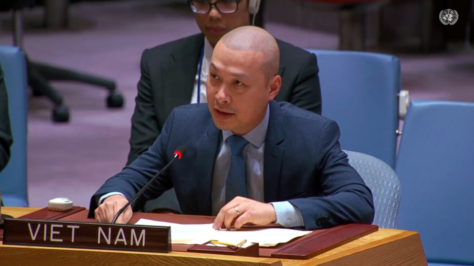 Vietnam ready to make practical contributions to peace and Gaza reconstruction.jpg