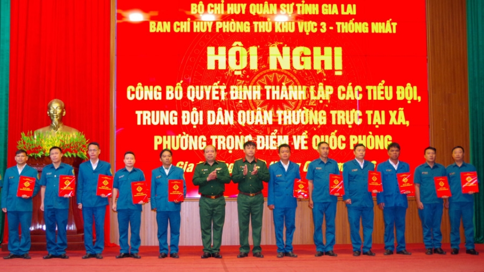 gia_lai_thanh_lap_61_tieu_doi_dan_quan-_anh_1.jpg