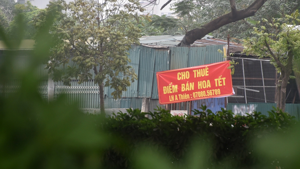 hoa_via_he_1.jpg