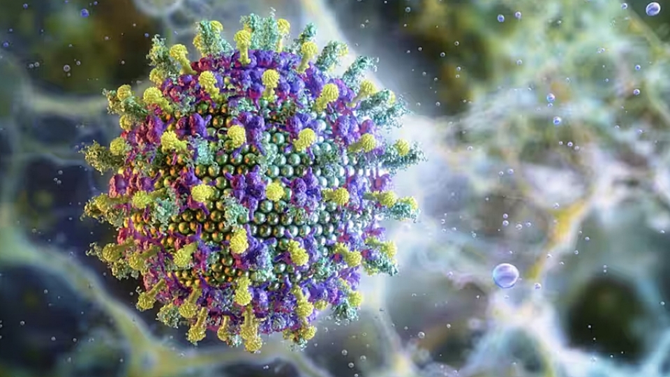 virus Nipah -science photo libra.jpg