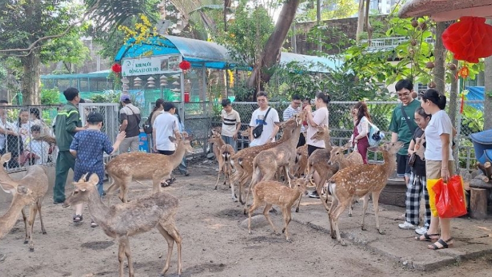 Du khách thích thú khi tiếp xúc với hưu sao.png