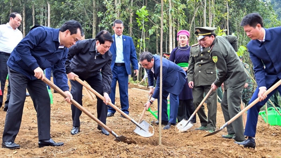 State President Luong Cuong and other officials plant a tree during the tree planting festival in Lao Cai on February 23.jpg